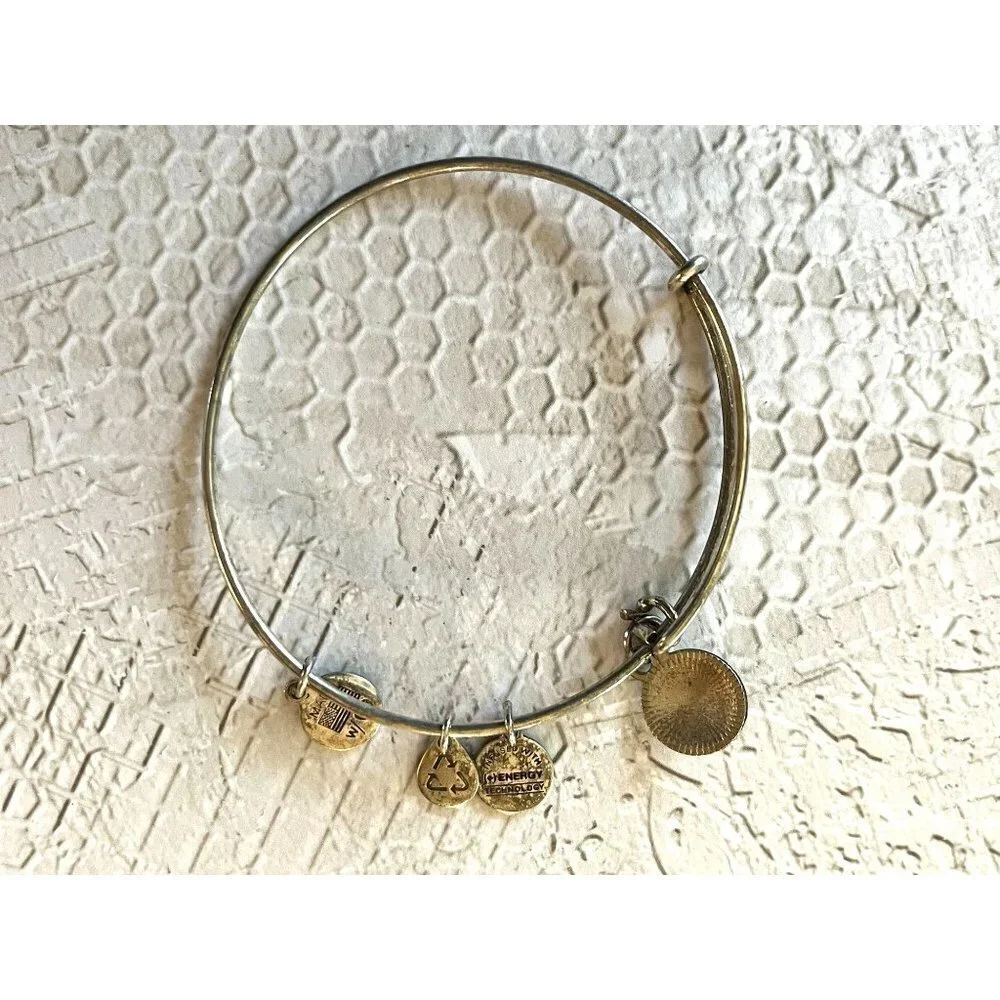 Alex and Ani Silver Bangle Bracelet Clock Charm